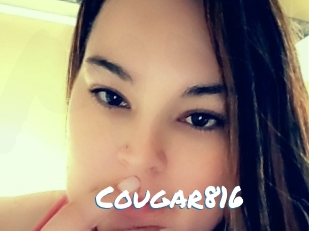 Cougar816
