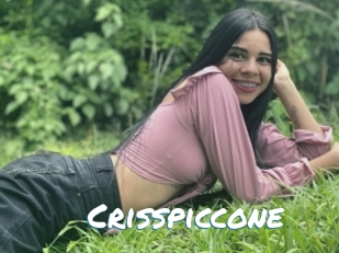 crisspiccone Max 50