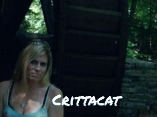 Crittacat