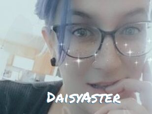 DaisyAster