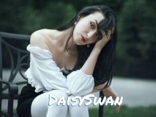 DaisySwan