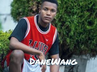 DaneWang