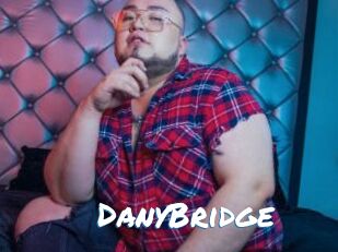 DanyBridge