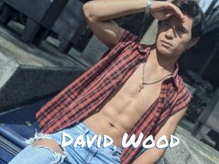 David_Wood