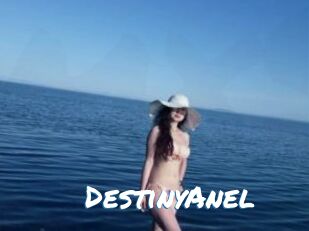 DestinyAnel