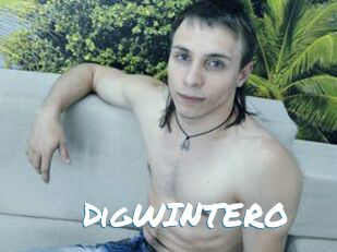 DigWINTERO
