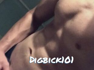Digbick101