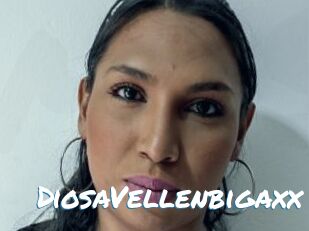 DiosaVellenbigaxx