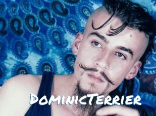 DominicTerrier