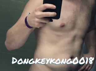Dongkeykong0018
