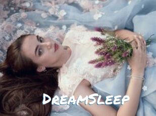 DreamSleep