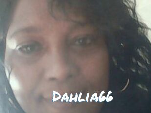 Dahlia66