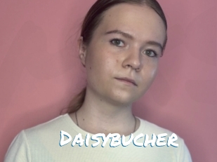Daisybucher