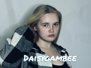 Daisygambee