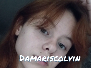 Damariscolvin