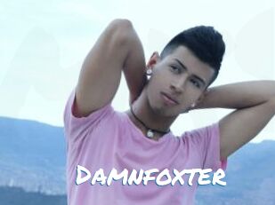 Damnfoxter