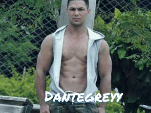 Dantegreyy