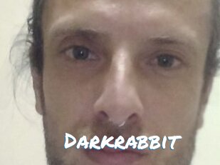 Darkrabbit