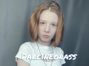 Darlinegrass