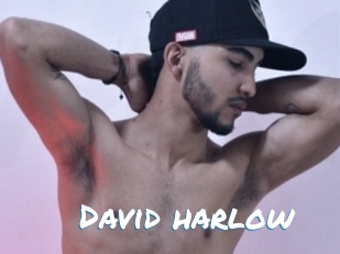 david_harlow Max 50