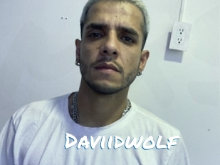 Daviidwolf