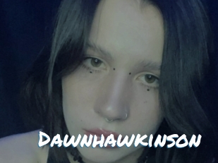 Dawnhawkinson