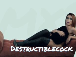 Destructiblecock