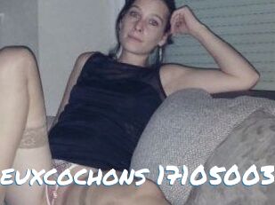 Deuxcochons