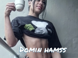 Domin_hamss