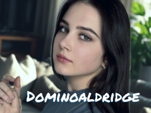 Dominoaldridge
