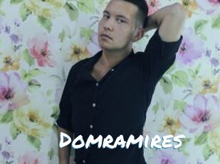 Domramires
