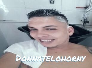 Donnatelohorny