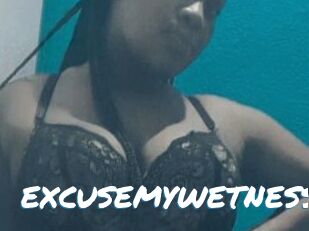 EXCUSEMYWETNESS