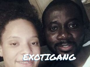 EXOTIGANG