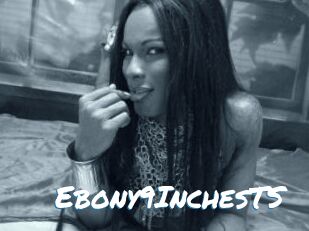 Ebony9InchesTS