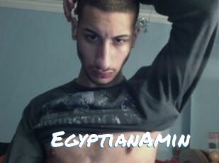 EgyptianAmin