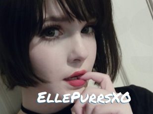 EllePurrsXO