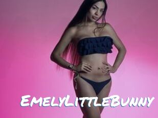 EmelyLittleBunny