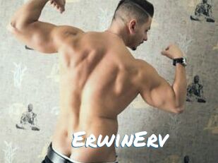 ErwinErv