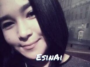 EsinAi