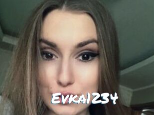 Evka1234