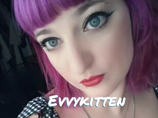 Evvykitten
