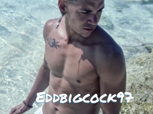 Eddbigcock97