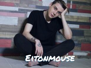 Eitonmouse