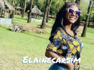 Elainecarsim