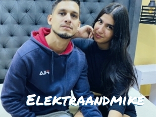 Elektraandmike