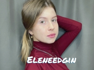 Eleneedgin
