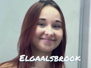 Elgaalsbrook
