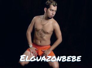 Elguazonbebe