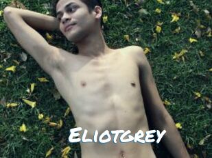 Eliotgrey
